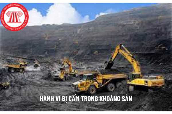 Hành vi bị cấm trong khoáng sản