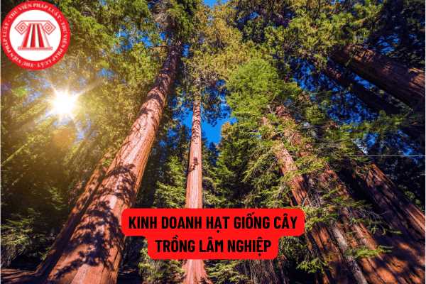 Kinh doanh hạt giống cây trồng lâm nghiệp