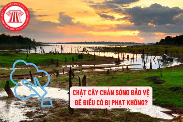 Chặt cây chắn sóng bảo vệ đê điều có bị phạt?