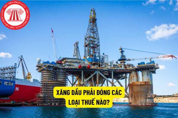 Xăng dầu phải đóng các loại thuế nào?