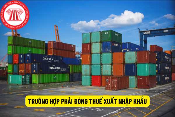 Thuế xuất nhập khẩu là gì? Trường hợp nào cần phải đóng thuế xuất nhập khẩu theo quy định của pháp luật?