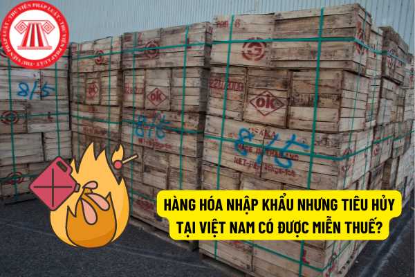 Hàng hóa nhập khẩu nhưng tiêu hủy ở Việt Nam có được miễn thuế?