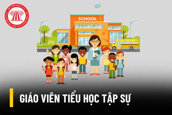 Giáo viên tiểu học tập sự