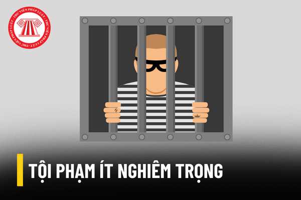 Tội phạm ít nghiêm trọng