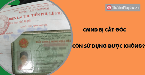 Cùng cập nhật ảnh chứng minh nhân dân mới của mình ngay để tạo sự đồng nhất trong các tài khoản của bạn. Với ảnh đẹp và rõ ràng, bạn có thể chứng tỏ đầy đủ thông tin của mình trên hầu hết các dịch vụ trực tuyến.