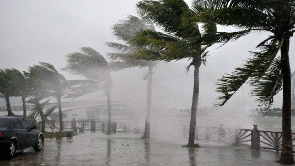 Tần suất đưa tin dự báo về bão trên Biển Đông