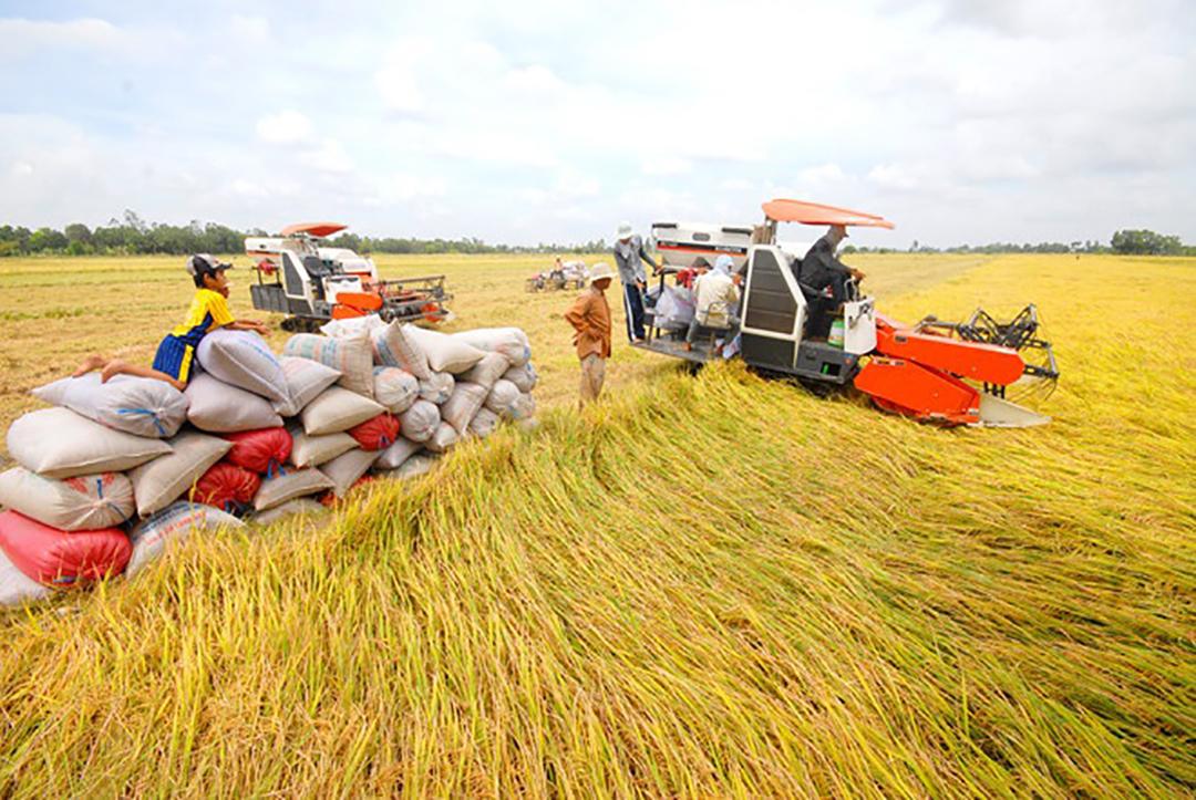 Đến 2050, Việt Nam trở thành nước có nền nông nghiệp hàng đầu thế giới