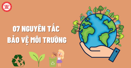 Top 7 Bài văn chứng minh bảo vệ môi trường là bảo vệ cuộc sống của chúng ta  lớp 7 hay nhất  toplistvn
