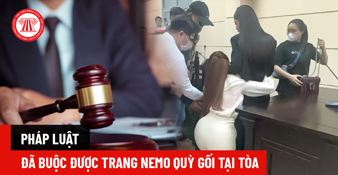 Pháp luật đã buộc được Trang Nemo quỳ gối tại tòa