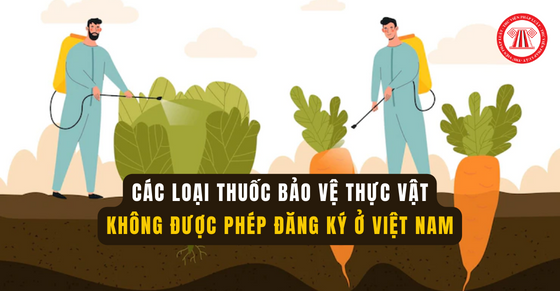 Các loại thuốc bảo vệ thực vật không được phép đăng ký ở Việt Nam