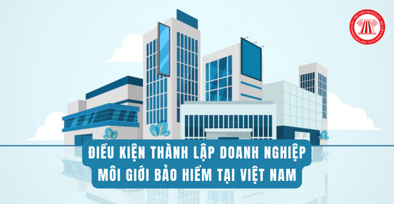 Điều kiện thành lập doanh nghiệp môi giới bảo hiểm tại Việt Nam