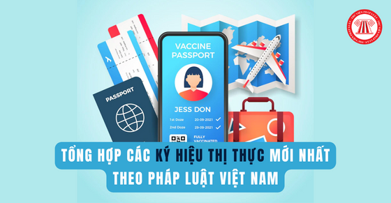Tổng hợp các ký hiệu thị thực mới nhất theo pháp luật Việt Nam