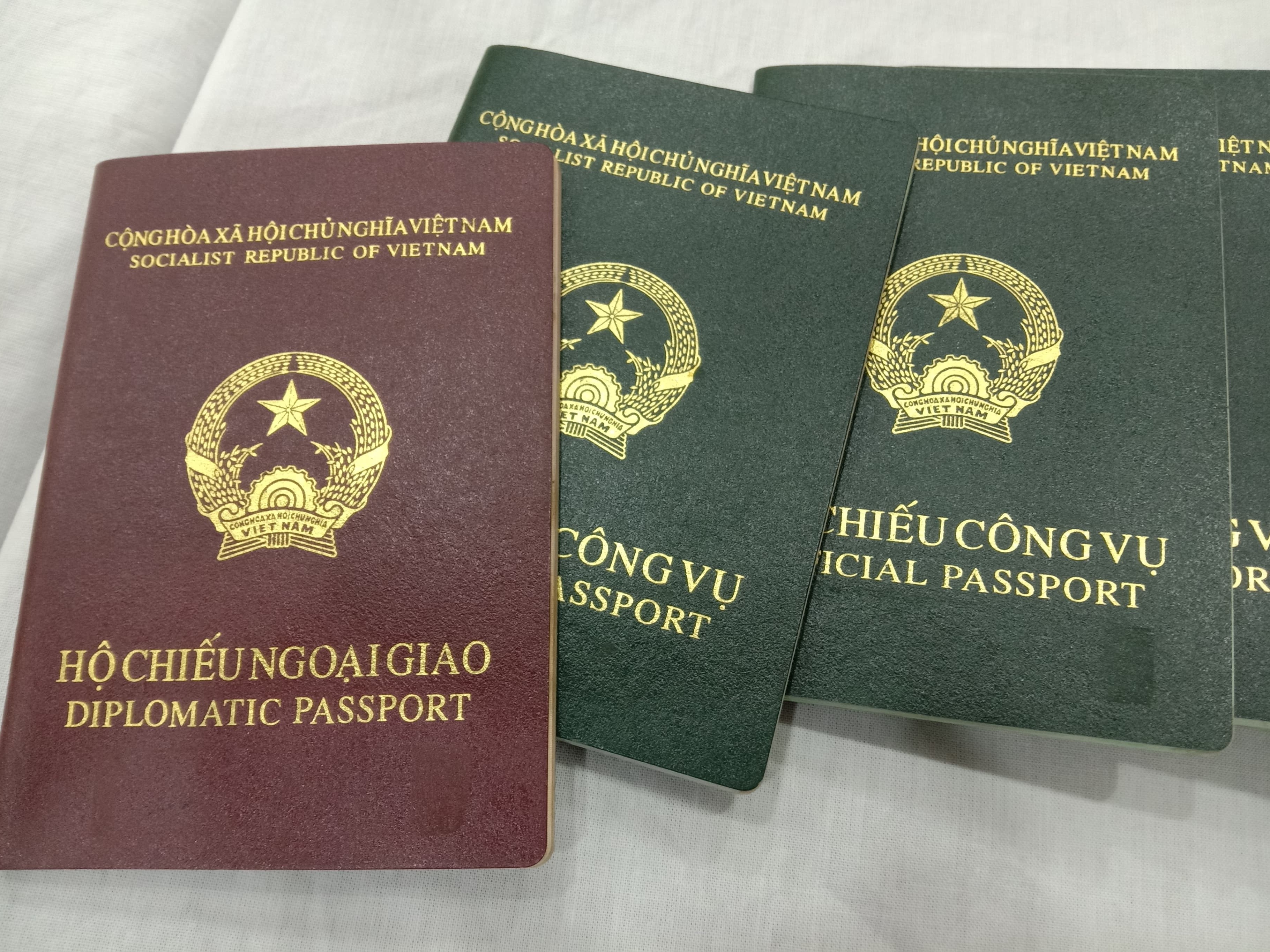 Tờ khai đề nghị cấp, gia hạn hộ chiếu ngoại giao, hộ chiếu công vụ