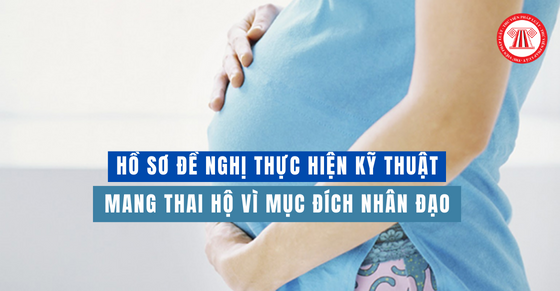 Hồ sơ đề nghị thực hiện kỹ thuật mang thai hộ vì mục đích nhân đạo