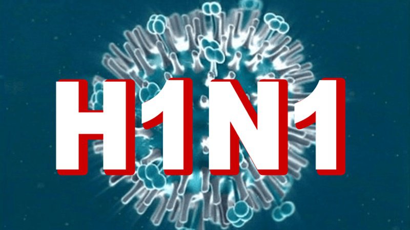 Bệnh cúm A H1N1 là bệnh gì? Biểu hiện lâm sàng của bệnh cúm A H1N1