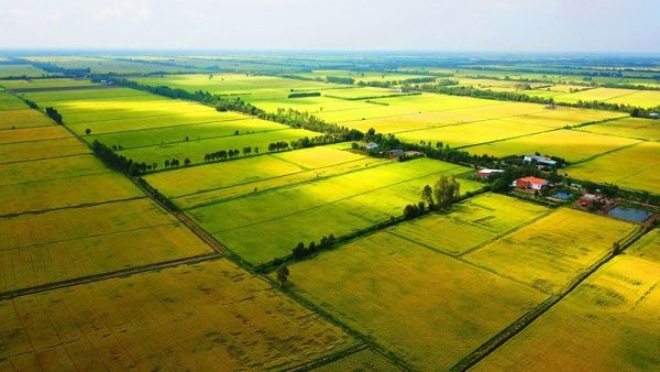 Tăng hạn mức nhận chuyển quyền sử dụng đất nông nghiệp của cá nhân (Đề xuất)