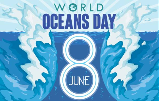 Ngày Đại dương thế giới 2023: Diễn ra vào ngày nào? Hoạt động hưởng ứng là gì?