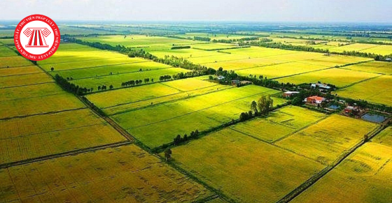 Thủ tục nộp tiền bảo vệ đất trồng lúa khi chuyển sang mục đích phi nông nghiệp