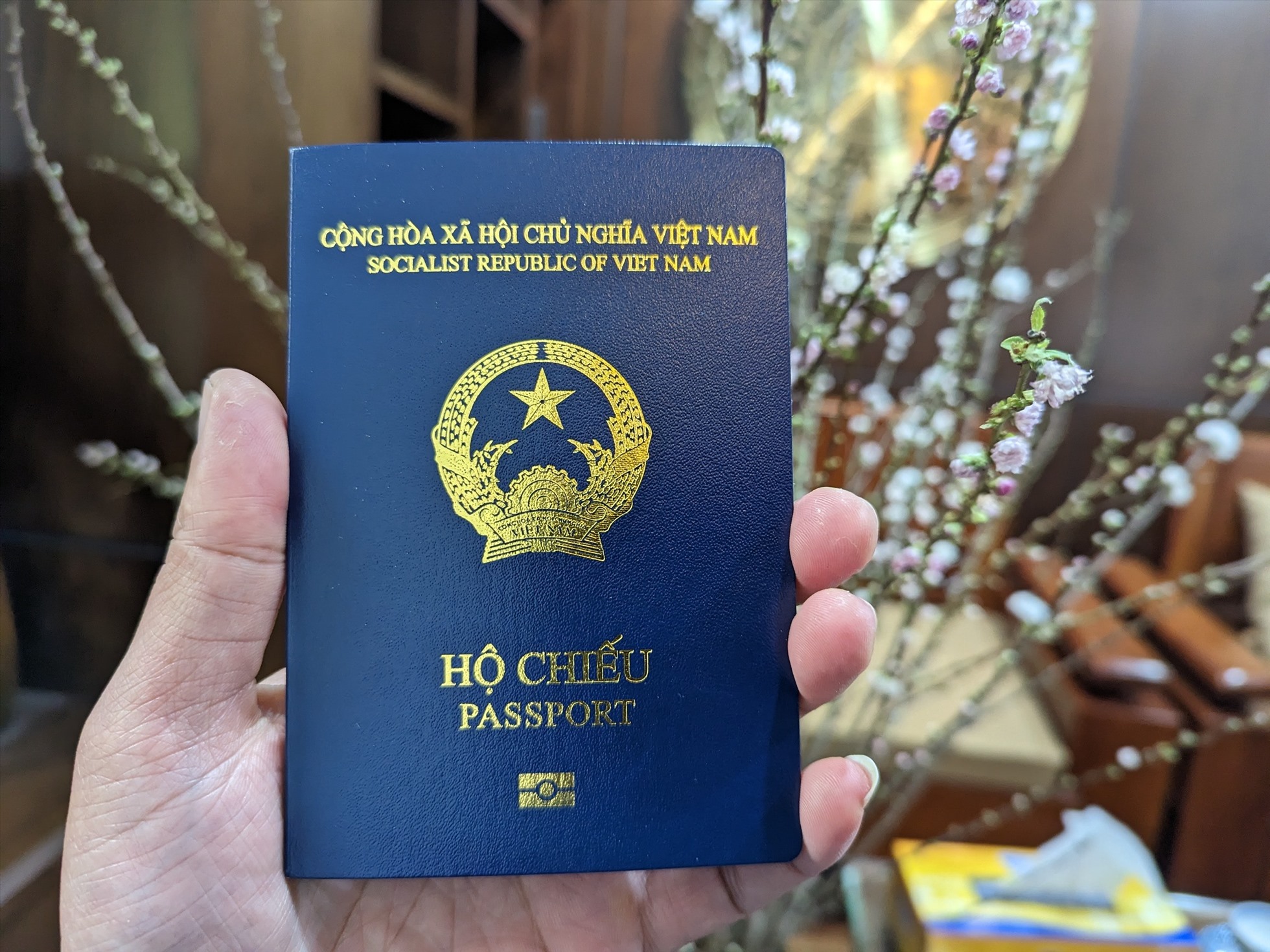Mẫu tờ khai làm hộ chiếu phổ thông trong nước mới nhất 