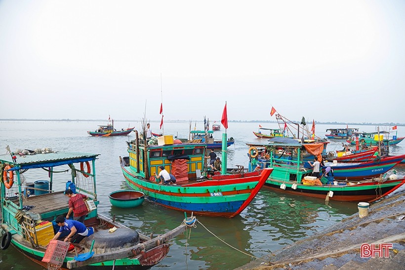 Quy định về giám sát viên trên tàu cá Việt Nam hoạt động khai thác ở vùng biển Việt Nam