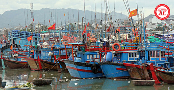Điều kiện tàu cá hoạt động khai thác thủy sản ngoài vùng biển Việt Nam từ ngày 19/5/2025