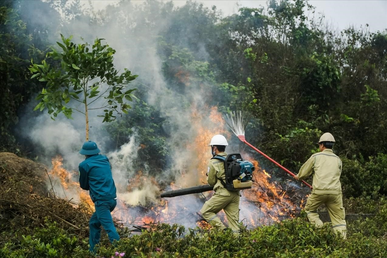 Quy định về kinh phí chữa cháy rừng 