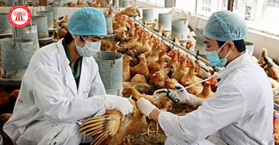 Thủ tướng Chính phủ yêu cầu tổ chức triển khai việc tiêm vắc xin phòng bệnh cho đàn vật nuôi nhằm phòng, chống dịch bệnh gia súc, gia cầm