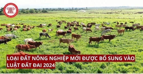 Loại đất nông nghiệp mới được bổ sung vào Luật Đất đai 2024 