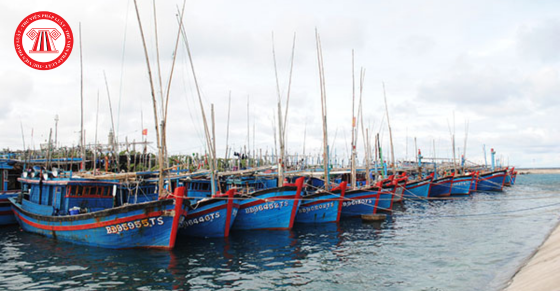 Quy hoạch hệ thống cảng cá và khu neo đậu tránh bão cho tàu cá thời kỳ 2021-2030
