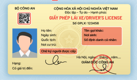 Bị CSGT tước/tạm giữ giấy phép lái xe bản giấy: Dùng bản điện tử trên VNeID được không?