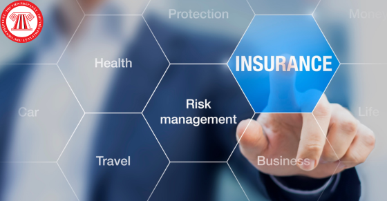 Điều kiện trước khi chính thức hoạt động của doanh nghiệp bảo hiểm, doanh nghiệp tái bảo hiểm