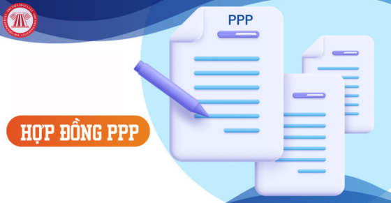 Hướng dẫn phân loại 4 nhóm hợp đồng dự án PPP
