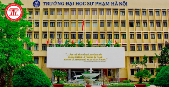 Thủ tục xét tuyển trình độ đại học, trình độ cao đẳng ngành giáo dục mầm non năm 2024