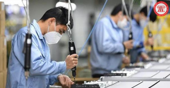 Nội dung chi tiết hợp đồng cung ứng lao động đối với công việc tại thị trường Đài Loan (Trung Quốc) mới nhất