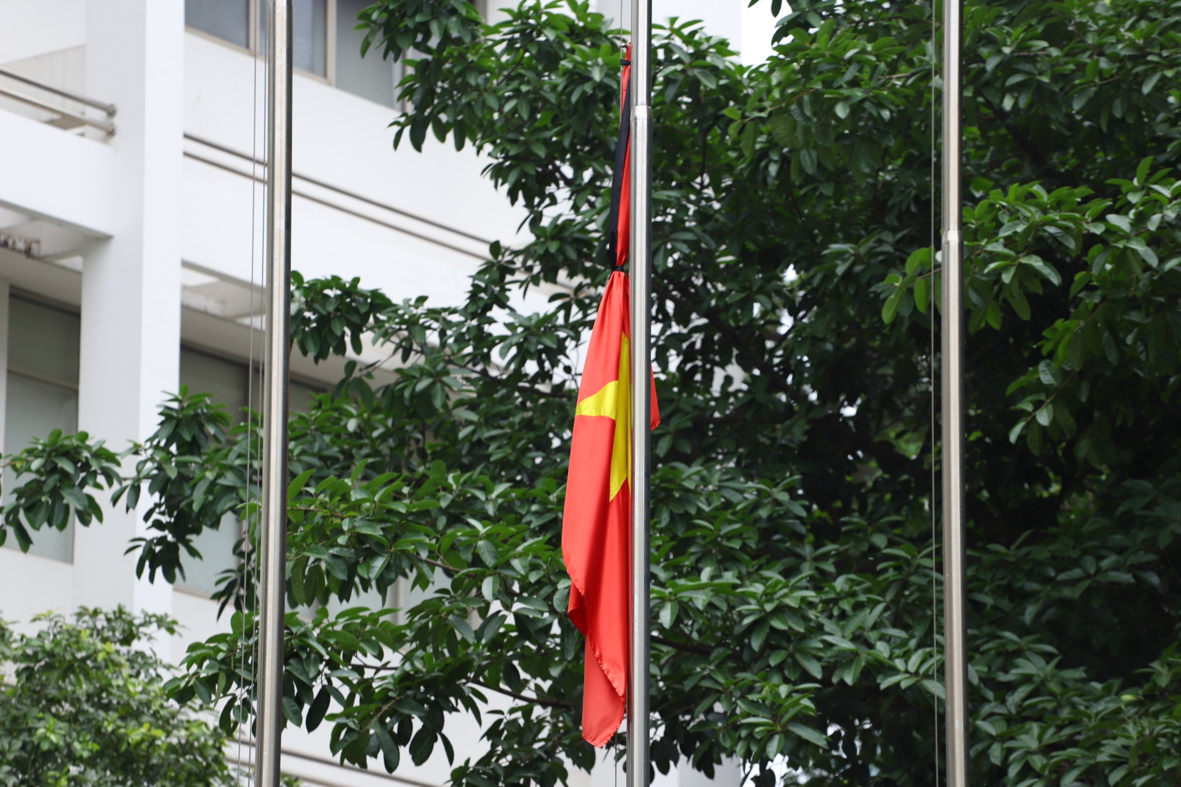 Hướng dẫn gửi lời chia buồn về Quốc tang Tổng Bí thư Nguyễn Phú Trọng qua VNeID 