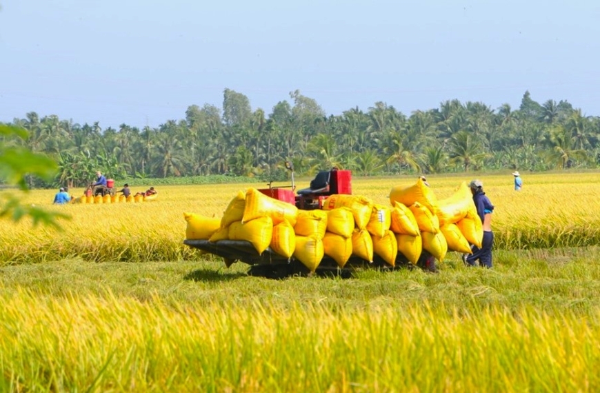 04 trường hợp không phải là cá nhân trực tiếp sản xuất nông nghiệp mới nhất