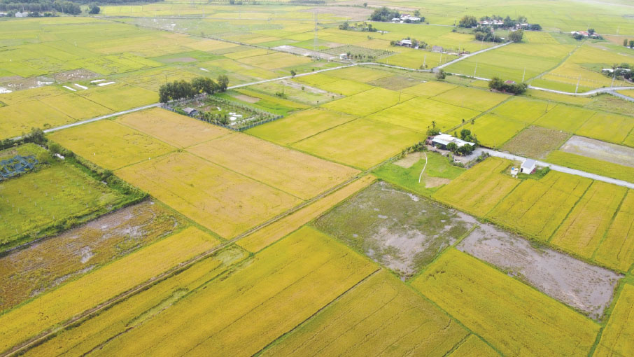 Hồ sơ và thủ tục đăng ký đất đai, tài sản gắn liền với đất lần đầu online