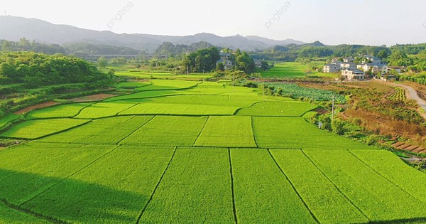 Hướng dẫn tính tiền sử dụng đất khi chuyển mục đích sử dụng đất với hộ gia đình, cá nhân theo Nghị định 103/2024