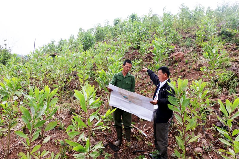 Mẫu đơn đề nghị điều chỉnh quyết định giao đất/cho thuê đất/cho phép chuyển mục đích sử dụng đất từ 01/8/2024