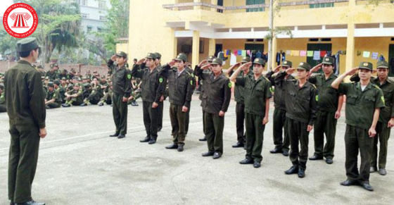 Hướng dẫn thành lập Tổ bảo vệ an ninh, trật tự trên địa bàn Thành phố Hồ Chí Minh