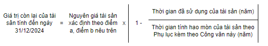 Giá trị còn lại của tài sản đã xác định nguyên giá tính đến ngày 31/12/2024