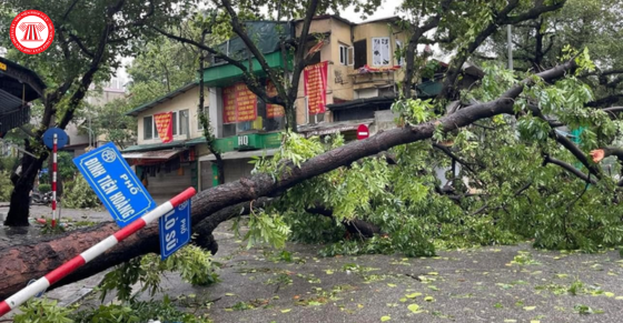 Tăng cường tổng hợp, thông tin báo cáo công tác phòng, chống, ứng phó và khắc phục hậu quả thiên tai