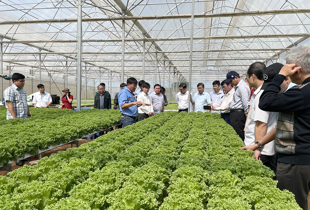 Mẫu bản đăng ký chuyển đổi cơ cấu cây trồng, vật nuôi trên đất trồng lúa mới nhất 