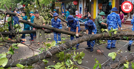 Hướng dẫn phối hợp chỉ đạo thực hiện công tác tổng vệ sinh môi trường, khắc phục hậu quả cơn bão số 3