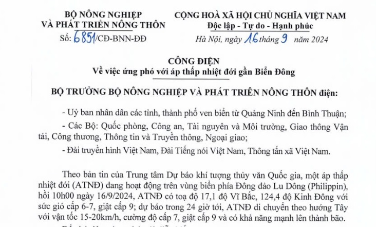 Công điện 6851 ứng phó với áp thấp nhiệt đới sắp mạnh lên thành bão số 4