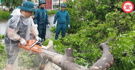 Hướng dẫn lựa chọn nhà thầu để khắc phục hậu quả Bão số 3 và mưa lũ sau bão