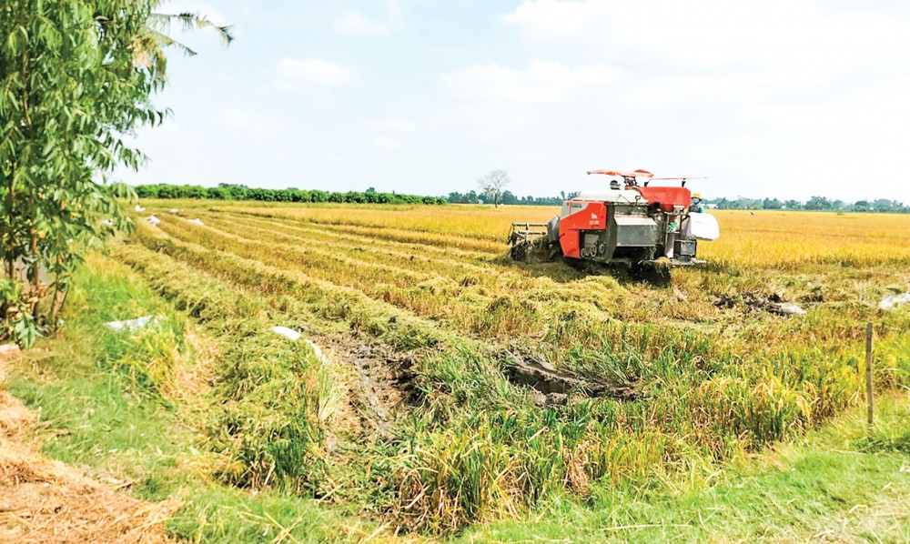 Thông tin chuyển mục đích sử dụng đất được thể hiện thế nào trên mẫu sổ đỏ mới