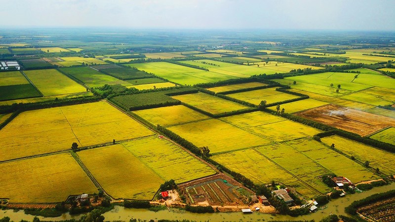 Mức bồi thường đất nông nghiệp không đủ điều kiện cấp sổ đỏ áp dụng từ 01/8/2024