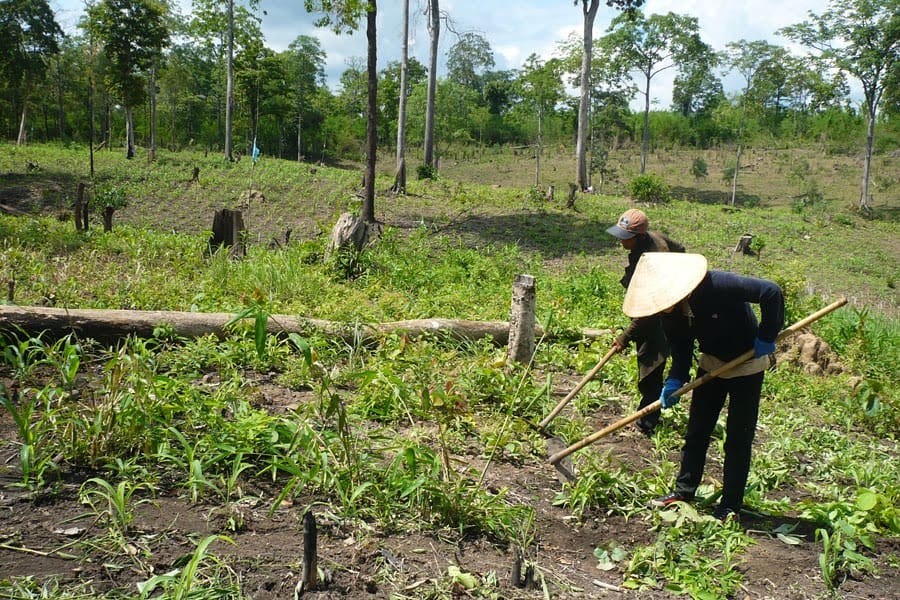 Mức tiền thưởng bàn giao đất trước thời hạn ở 63 tỉnh thành