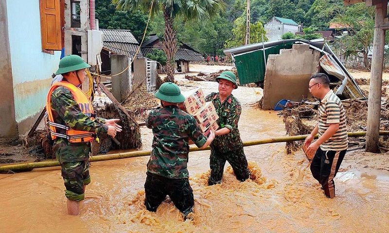 Tổng hợp các mẫu văn bản áp dụng cho quỹ từ thiện, quỹ xã hội theo Nghị định 136/2024